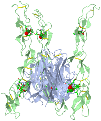 Image Biol. Unit 1 - sites