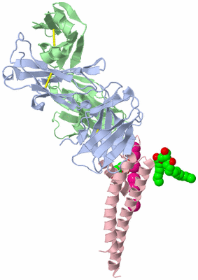 Image Asymmetric Unit