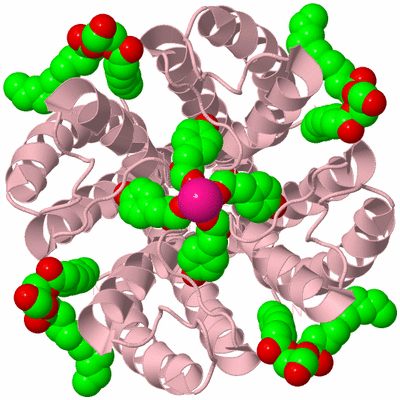 Image Biological Unit 2