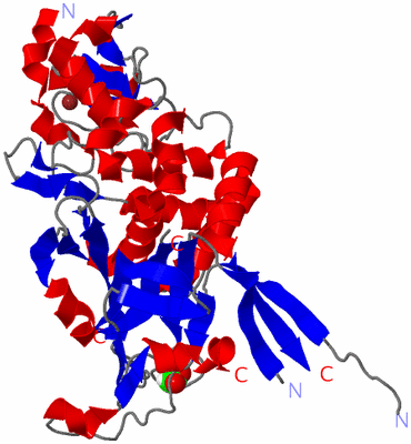 Image Asym./Biol. Unit