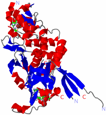 Image Asym./Biol. Unit - sites