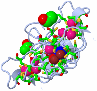 Image Biol. Unit 1 - sites