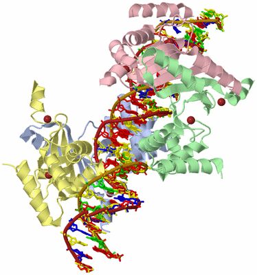 Image Asym./Biol. Unit