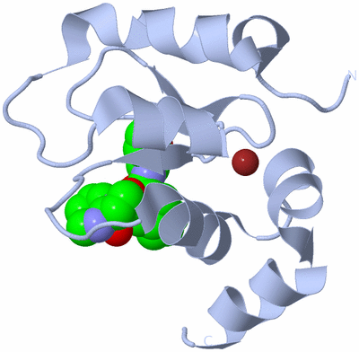 Image Biological Unit 1