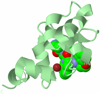 Image Biological Unit 2