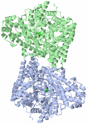 Image Asym./Biol. Unit