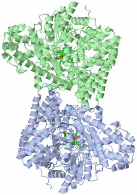 Image Asym./Biol. Unit - sites