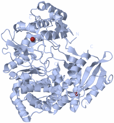 Image Biological Unit 1