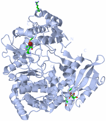 Image Biol. Unit 1 - sites