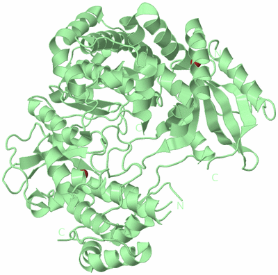 Image Biological Unit 2