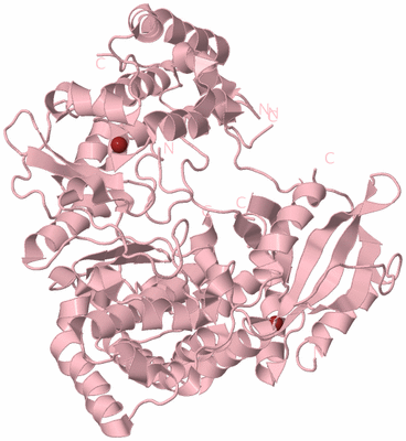 Image Biological Unit 3