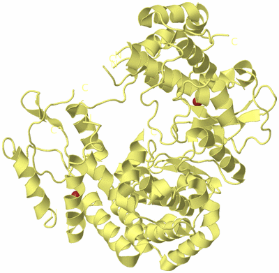 Image Biological Unit 4