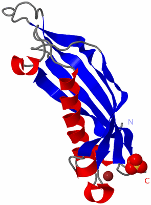 Image Asymmetric Unit