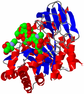 Image Asym./Biol. Unit