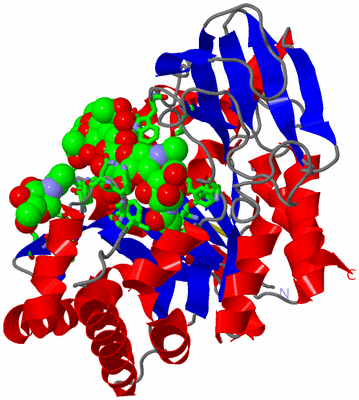 Image Asym./Biol. Unit - sites