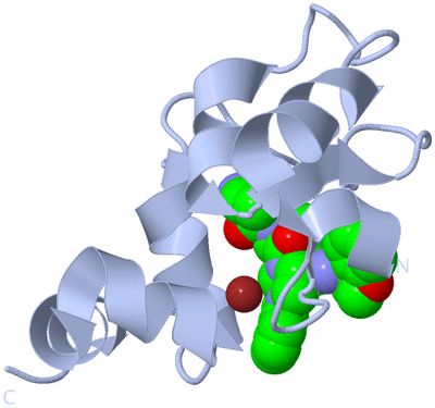 Image Biological Unit 1