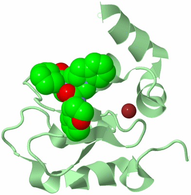 Image Biological Unit 2