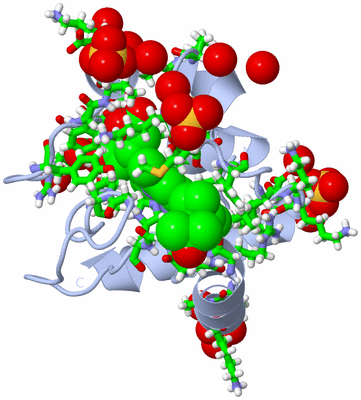 Image Biol. Unit 1 - sites