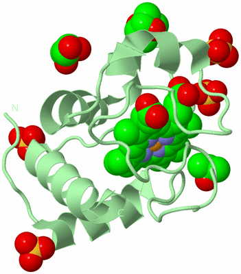 Image Biological Unit 2