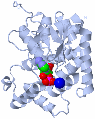 Image Biological Unit 1