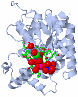 Image Biol. Unit 1 - sites