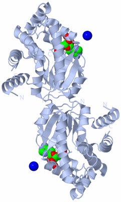 Image Biological Unit 2