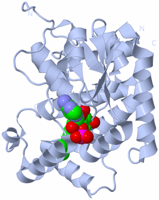 Image Biological Unit 1