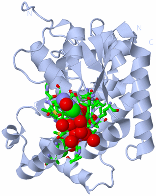 Image Biol. Unit 1 - sites