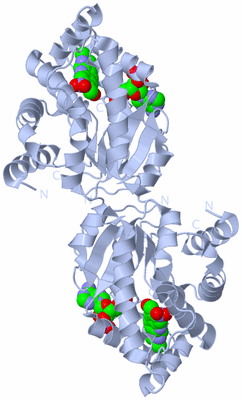 Image Biological Unit 2