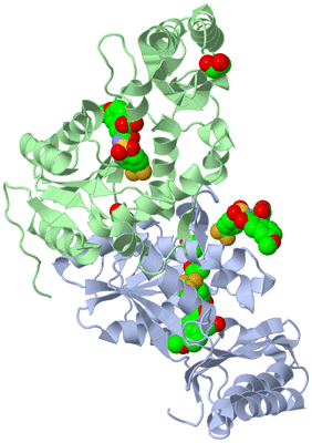 Image Biological Unit 1