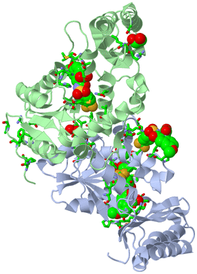 Image Biol. Unit 1 - sites