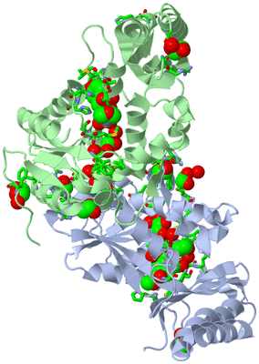 Image Biol. Unit 1 - sites