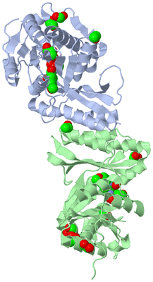 Image Biological Unit 2