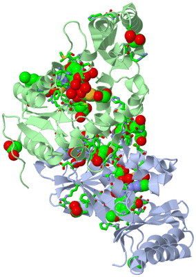 Image Biol. Unit 1 - sites