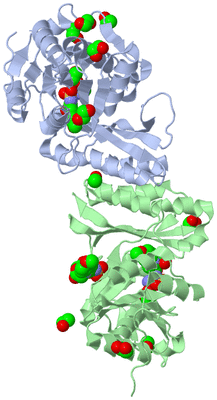 Image Biological Unit 2