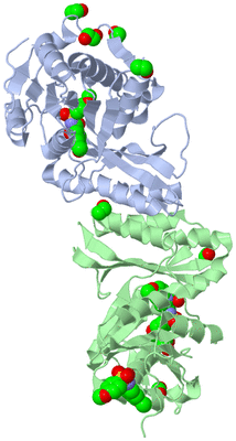 Image Biological Unit 2