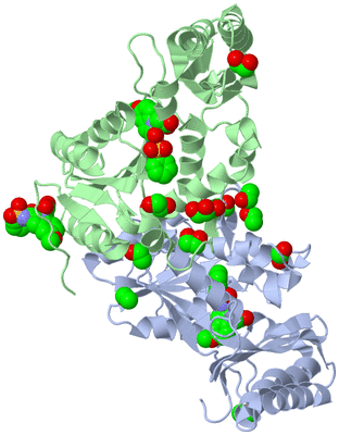 Image Biological Unit 1