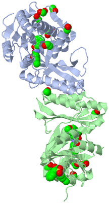 Image Biological Unit 2