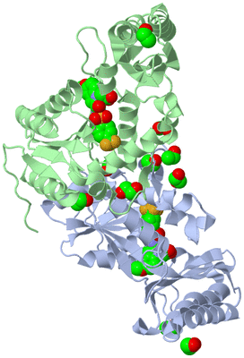 Image Biological Unit 1