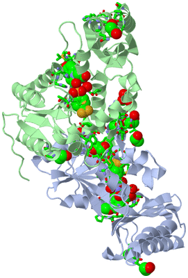 Image Biol. Unit 1 - sites