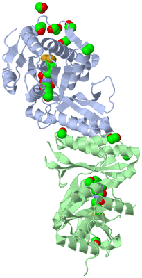 Image Biological Unit 2