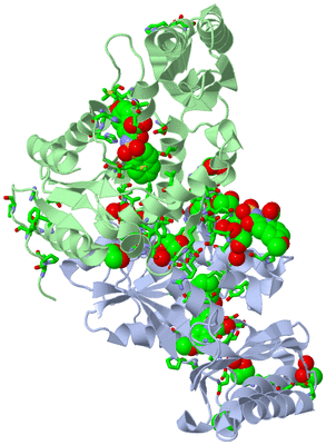 Image Biol. Unit 1 - sites