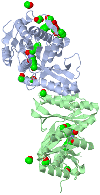 Image Biological Unit 2