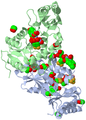 Image Biological Unit 1