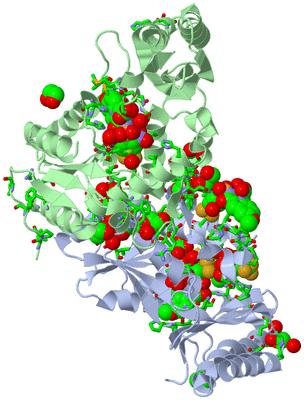 Image Biol. Unit 1 - sites