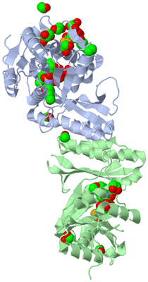 Image Biological Unit 2