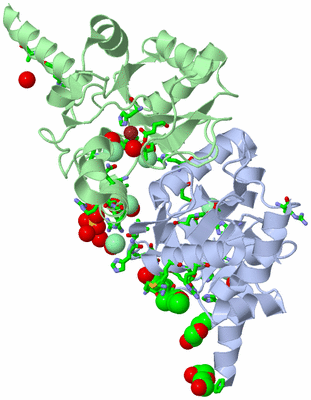 Image Asym./Biol. Unit - sites