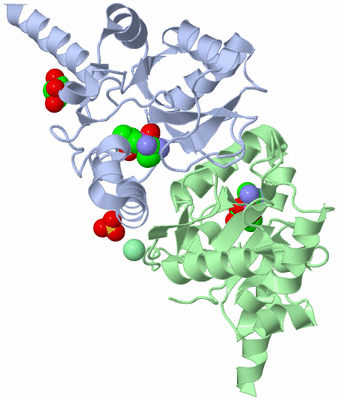 Image Asym./Biol. Unit