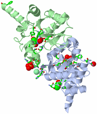 Image Biol. Unit 1 - sites