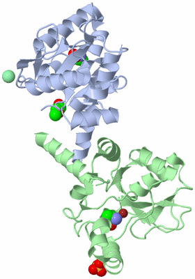 Image Biological Unit 2